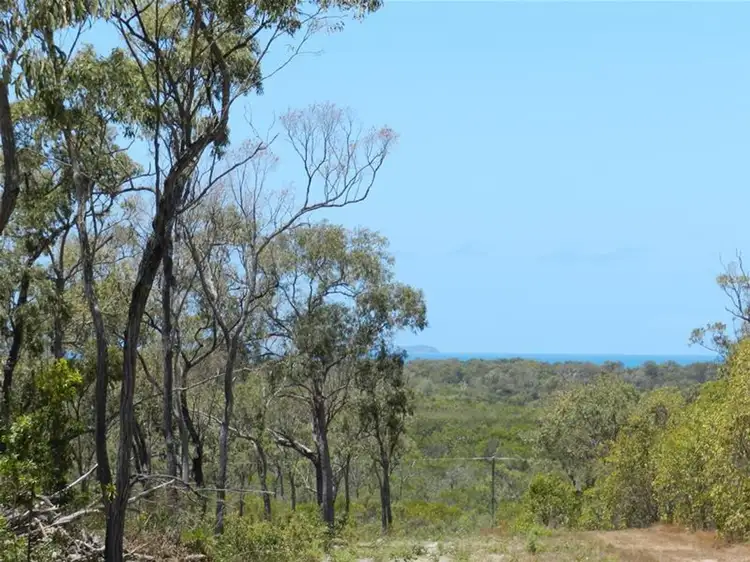 181 Cape Palmerston Road, Ilbilbie QLD 4738