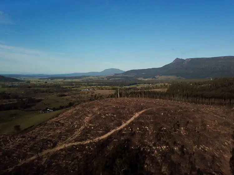Main view of Homely rural property listing, Lot 1 Crowdens Rd, Western Creek TAS 7304