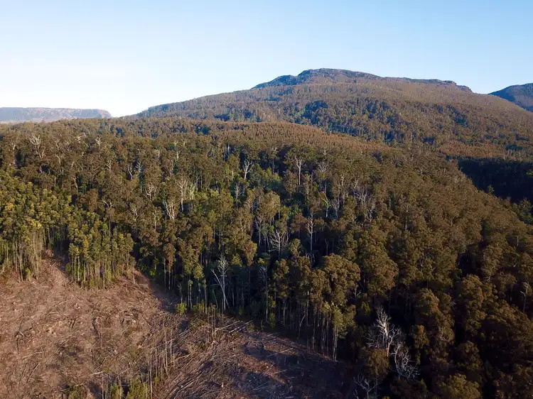 Third view of Homely rural property listing, Lot 1 Crowdens Rd, Western Creek TAS 7304