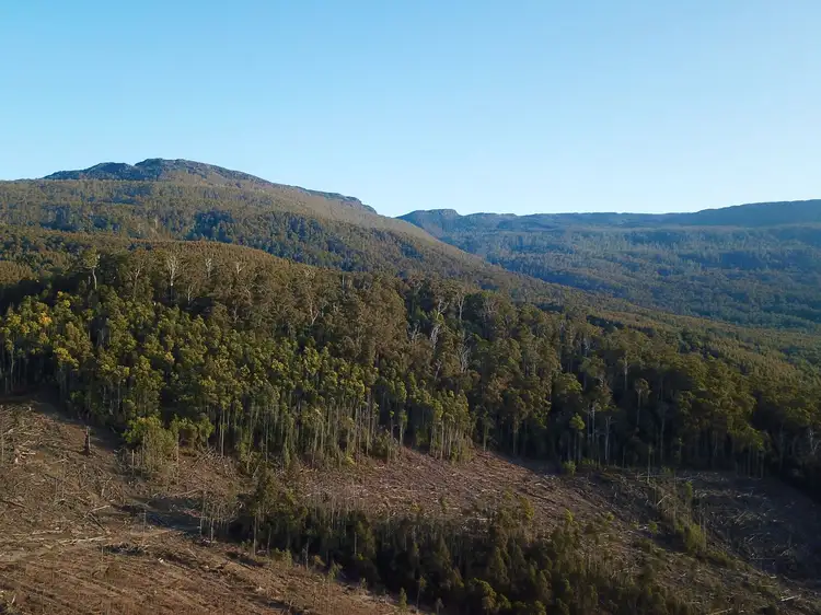 Fifth view of Homely rural property listing, Lot 1 Crowdens Rd, Western Creek TAS 7304