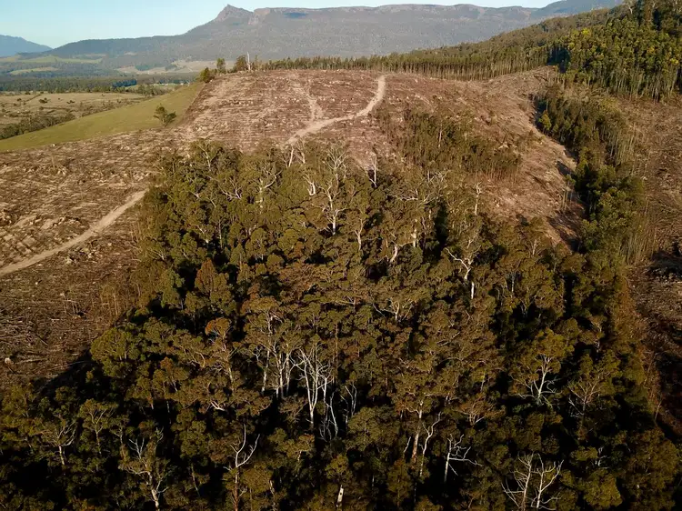 Sixth view of Homely rural property listing, Lot 1 Crowdens Rd, Western Creek TAS 7304