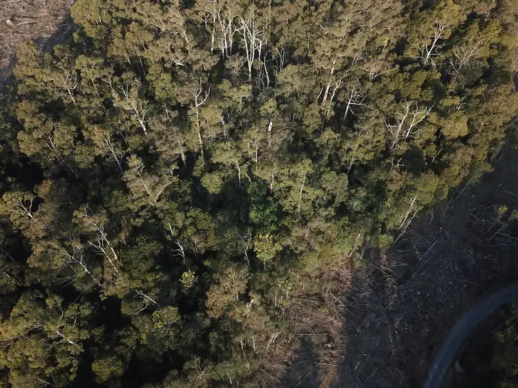 Seventh view of Homely rural property listing, Lot 1 Crowdens Rd, Western Creek TAS 7304