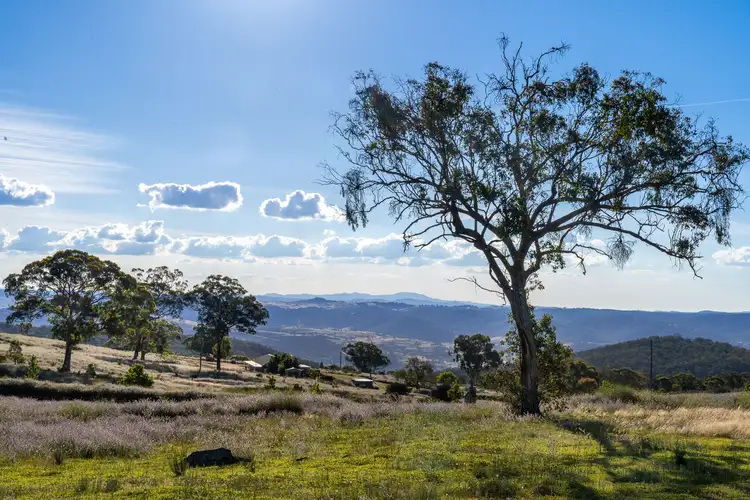 185 Peregrine Road, Billywillinga NSW 2795