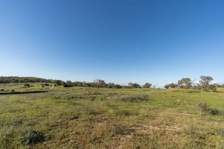 Second view of Homely rural property listing, 185 Peregrine Road, Billywillinga NSW 2795