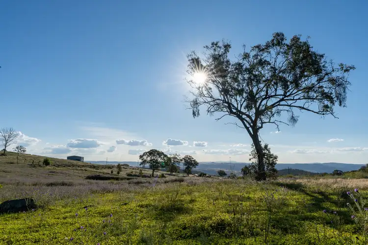 Third view of Homely rural property listing, 185 Peregrine Road, Billywillinga NSW 2795