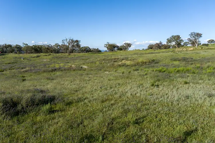 Fifth view of Homely rural property listing, 185 Peregrine Road, Billywillinga NSW 2795