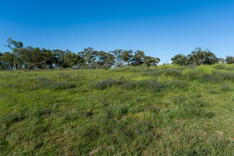 Sixth view of Homely rural property listing, 185 Peregrine Road, Billywillinga NSW 2795