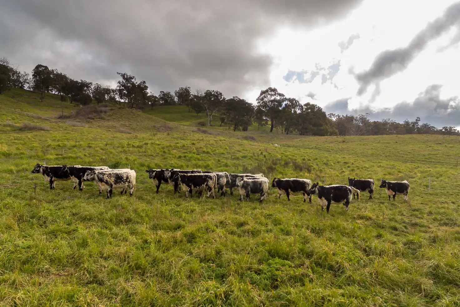 Main view of Homely rural property listing, 3008 Lagoon Road, Rockley NSW 2795
