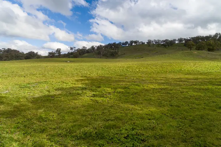 Fifth view of Homely rural property listing, 3008 Lagoon Road, Rockley NSW 2795