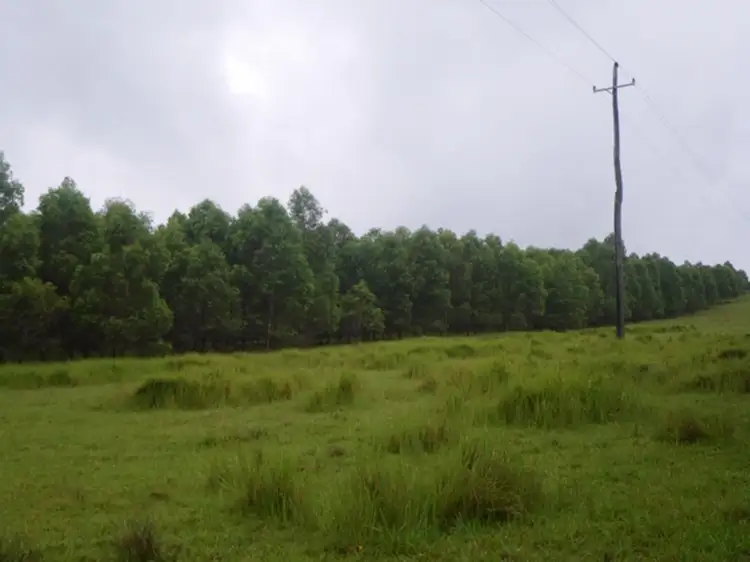 Main view of Homely rural property listing, Lot 55 Bruxner Highway, Tabulam NSW 2469