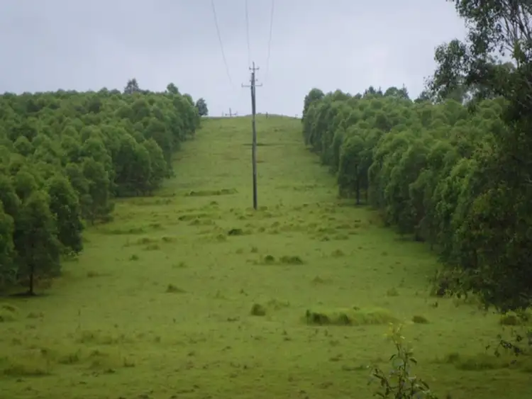 Third view of Homely rural property listing, Lot 55 Bruxner Highway, Tabulam NSW 2469