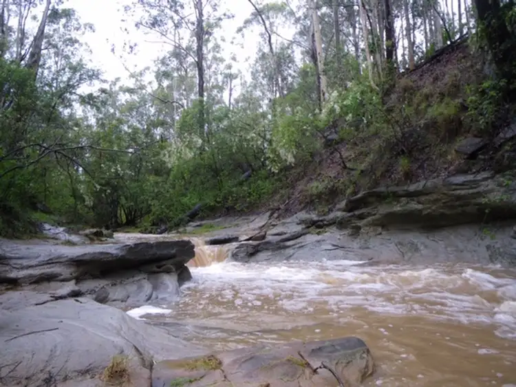 Fourth view of Homely rural property listing, Lot 55 Bruxner Highway, Tabulam NSW 2469