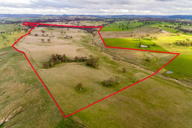 333 Bosworth Falls Road, O'connell NSW 2795