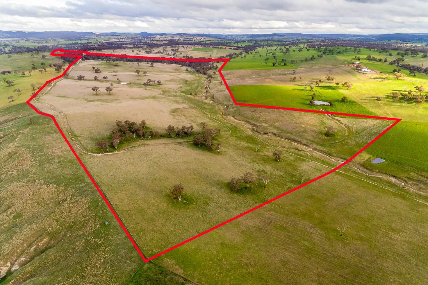 Main view of Homely rural property listing, 333 Bosworth Falls Road, O'connell NSW 2795