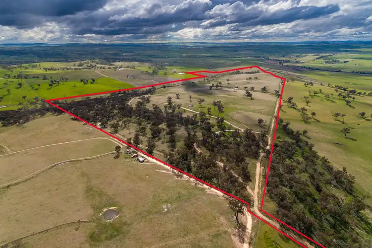 Fourth view of Homely rural property listing, 333 Bosworth Falls Road, O'connell NSW 2795