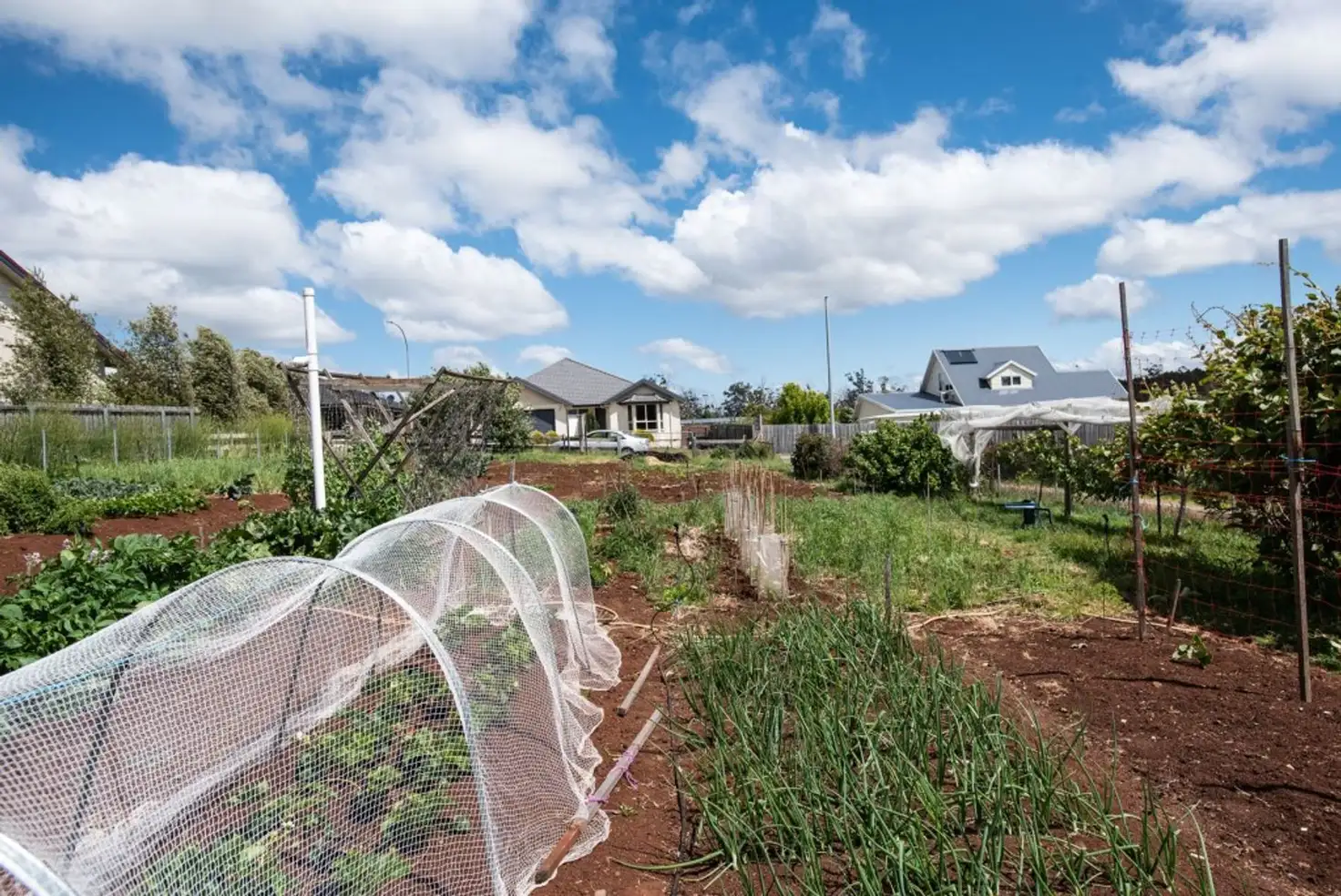 Main view of Homely land listing, 6. Berne Court, Grindelwald TAS 7277