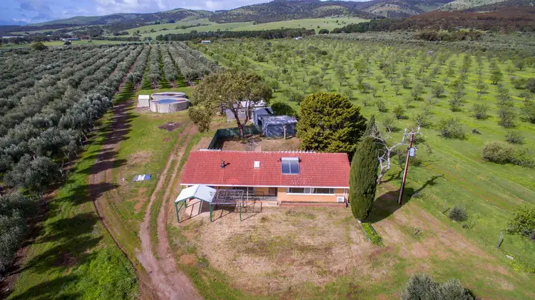 Main view of Homely rural property listing, 3819 Main South Road, Sellicks Hill SA 5174