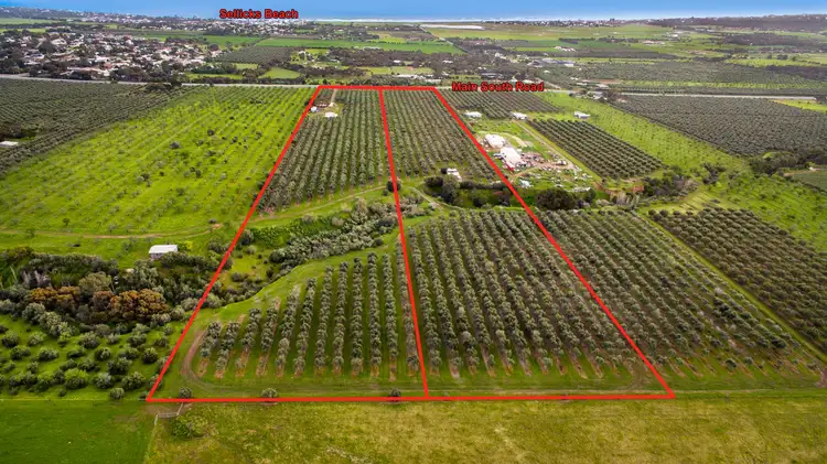 Third view of Homely rural property listing, 3819 Main South Road, Sellicks Hill SA 5174