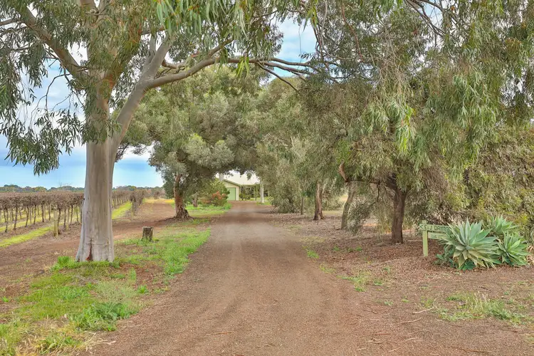 Main view of Homely house listing, 95 Oleander Drive, Coomealla NSW 2717