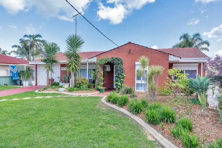 29 Pinjarra-Williams Road, Pinjarra WA 6208