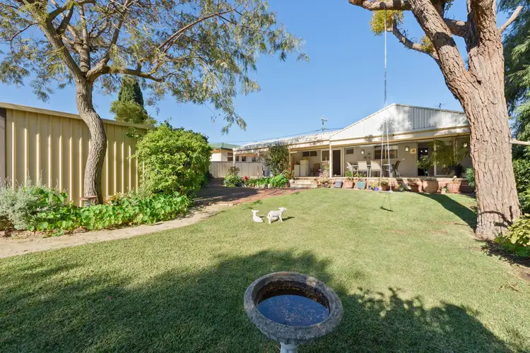 77 Camberwarra Drive, Craigie WA 6025