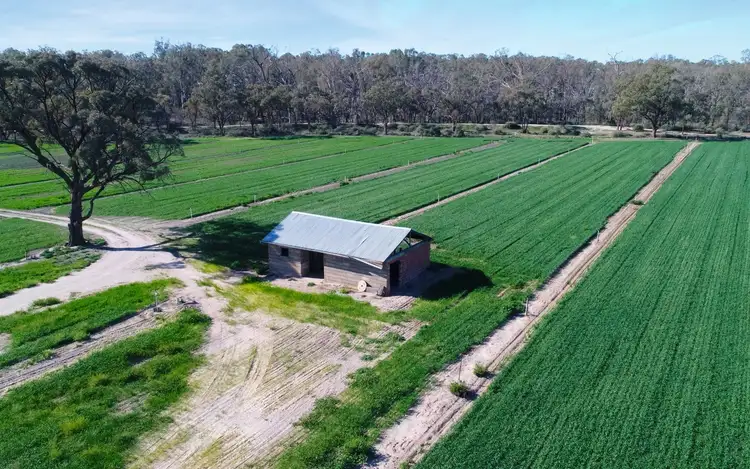 Seventh view of Homely rural property listing, 87 Blake Road, Iraak VIC 3494