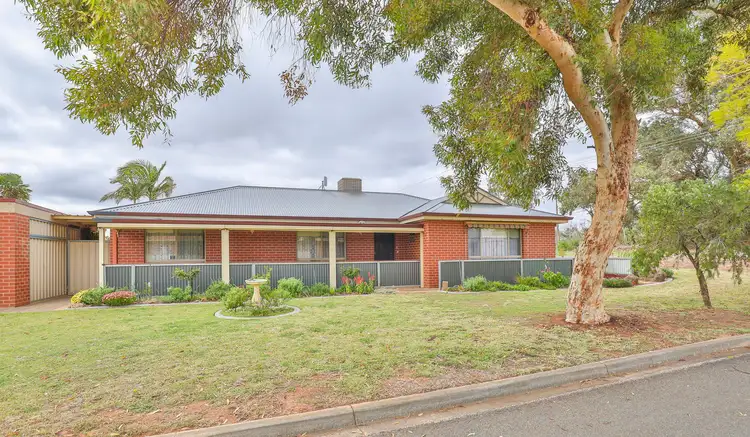 Main view of Homely house listing, 49 Nardoo Street, Red Cliffs VIC 3496