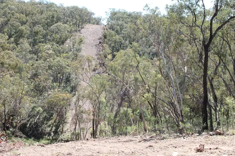 Third view of Homely rural property listing, Lot 135 Back Creek Road, Tenterfield NSW 2372