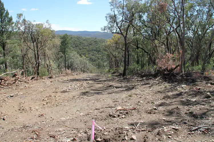 Fourth view of Homely rural property listing, Lot 135 Back Creek Road, Tenterfield NSW 2372