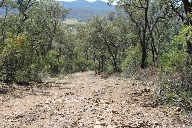 Fifth view of Homely rural property listing, Lot 135 Back Creek Road, Tenterfield NSW 2372