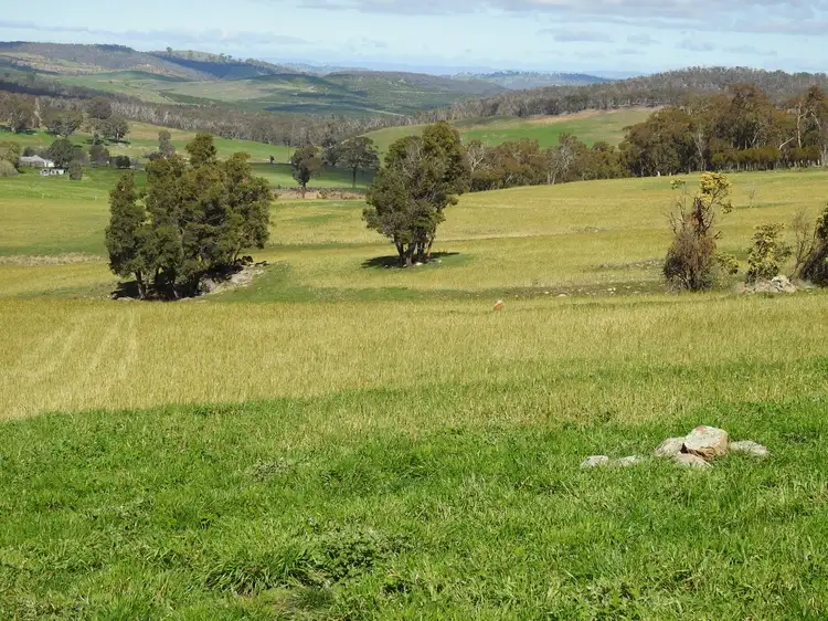 Main view of Homely rural property listing, 829 Redbank Road, Triangle Flat NSW 2795