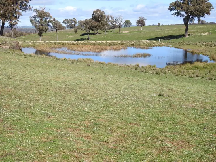 Third view of Homely rural property listing, 829 Redbank Road, Triangle Flat NSW 2795