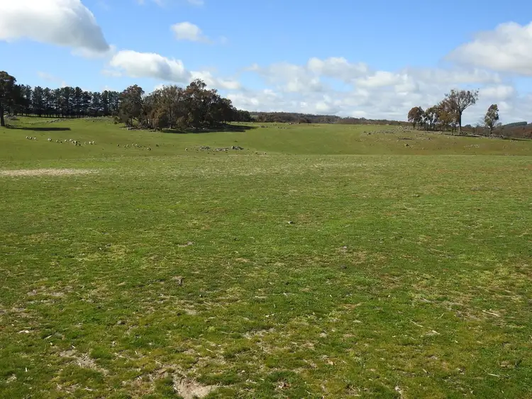 Fourth view of Homely rural property listing, 829 Redbank Road, Triangle Flat NSW 2795