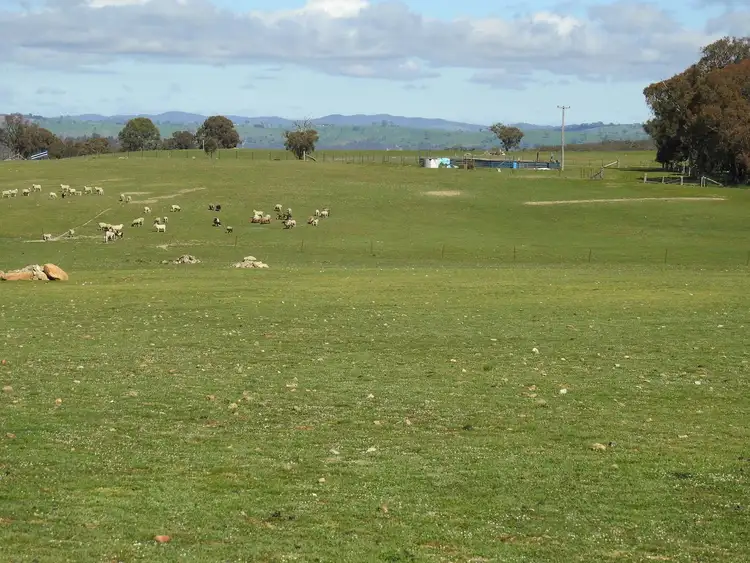 Fifth view of Homely rural property listing, 829 Redbank Road, Triangle Flat NSW 2795