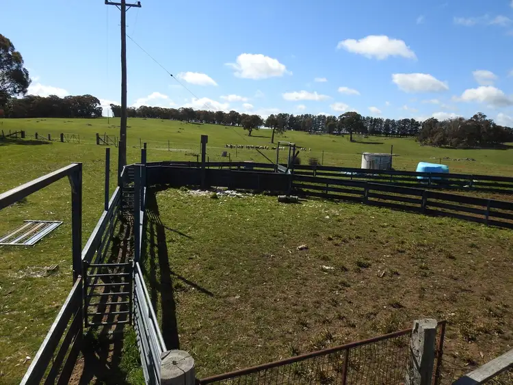 Sixth view of Homely rural property listing, 829 Redbank Road, Triangle Flat NSW 2795