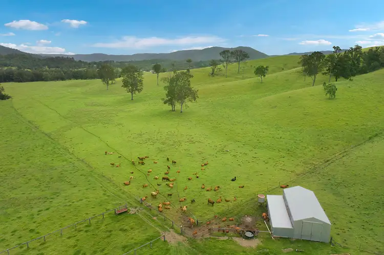 75 Grundon Road, Conondale QLD 4552
