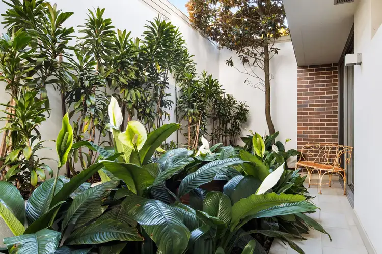 Fourth view of Homely apartment listing, 3/76-82 Cooper Park Road, Bellevue Hill NSW 2023