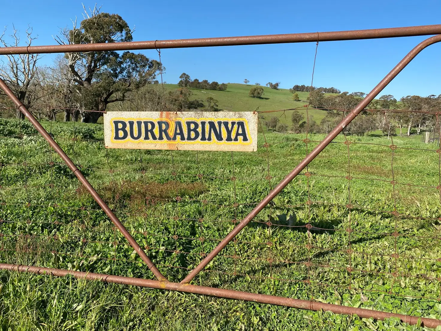 Main view of Homely rural property listing, 519 Chain of Ponds Rd, Black Springs NSW 2787