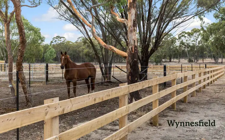 Fourth view of Homely land listing, Lots 1-6 Racecourse Road & Wynnes Lane, Ascot VIC 3551
