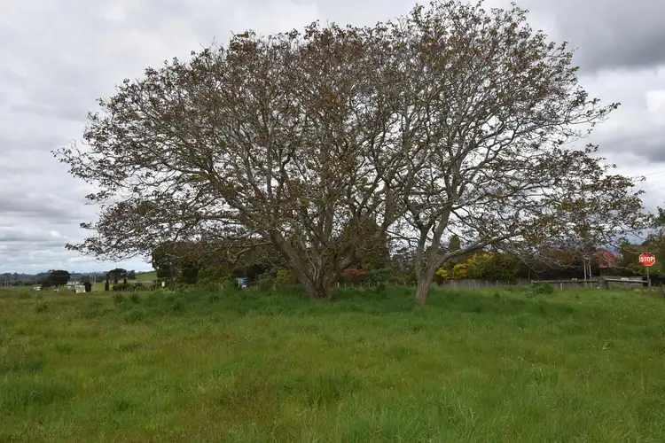 Third view of Homely rural property listing, 544 Mole Creek Rd, Red Hills TAS 7304