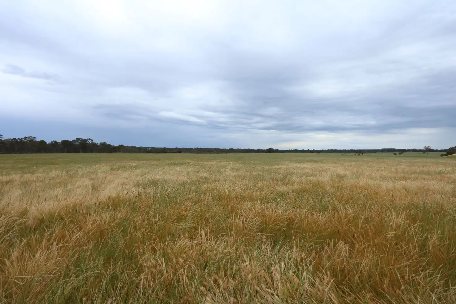 Main view of Homely land listing, C/A 3C Section 1 Commercial Road, Majorca VIC 3465