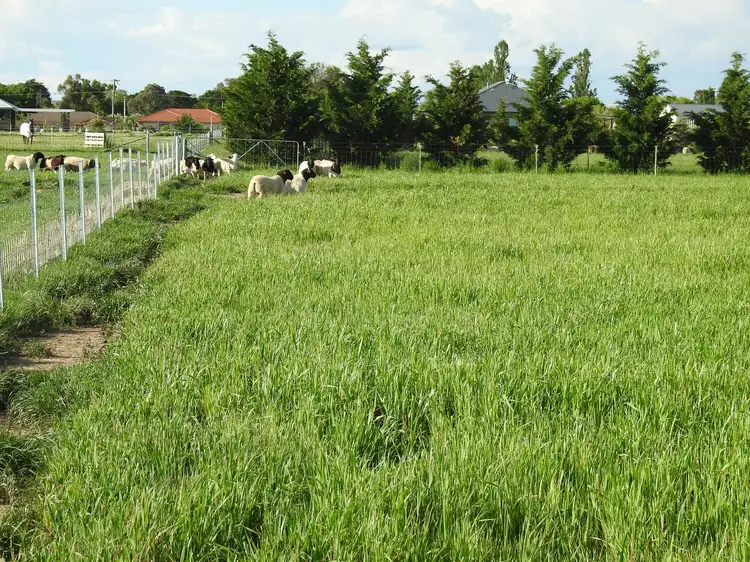Second view of Homely land listing, 113 Spring Hill Rd, Spring Hill NSW 2800
