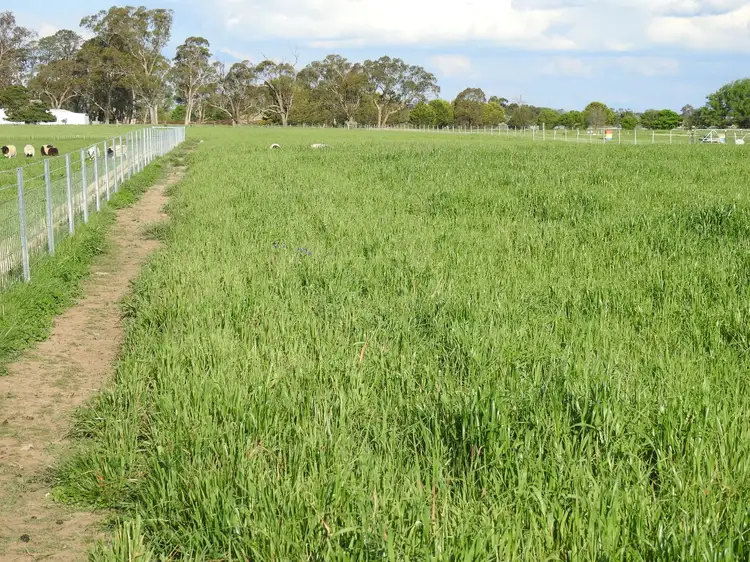 Third view of Homely land listing, 113 Spring Hill Rd, Spring Hill NSW 2800