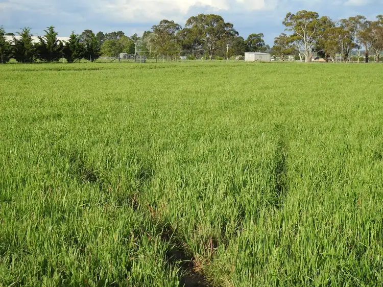 Fourth view of Homely land listing, 113 Spring Hill Rd, Spring Hill NSW 2800