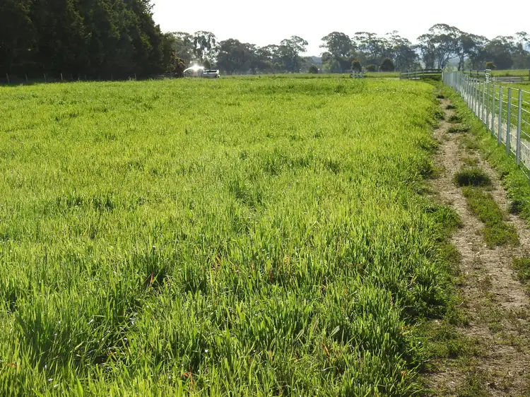 Sixth view of Homely land listing, 113 Spring Hill Rd, Spring Hill NSW 2800