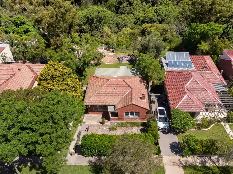 Sixth view of Homely house listing, 22 Calbina Road, Northbridge NSW 2063
