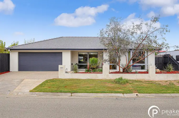 1 Insignia Crescent, Berwick VIC 3806
