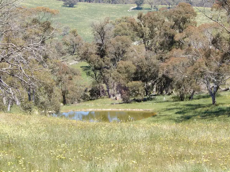 Fourth view of Homely rural property listing, Address available on request