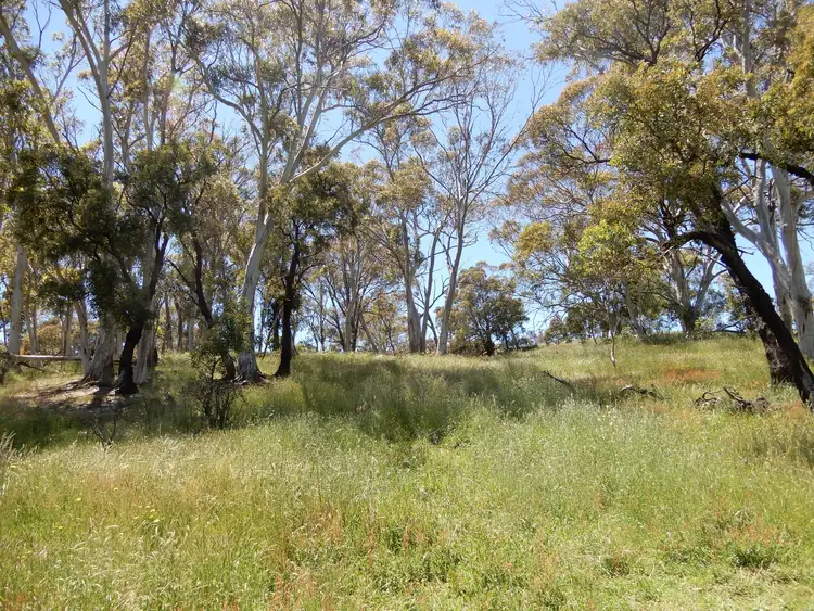 Seventh view of Homely rural property listing, Address available on request