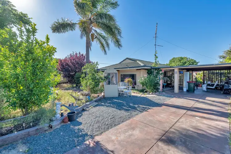 11 Osmunda Place, Pinjarra WA 6208